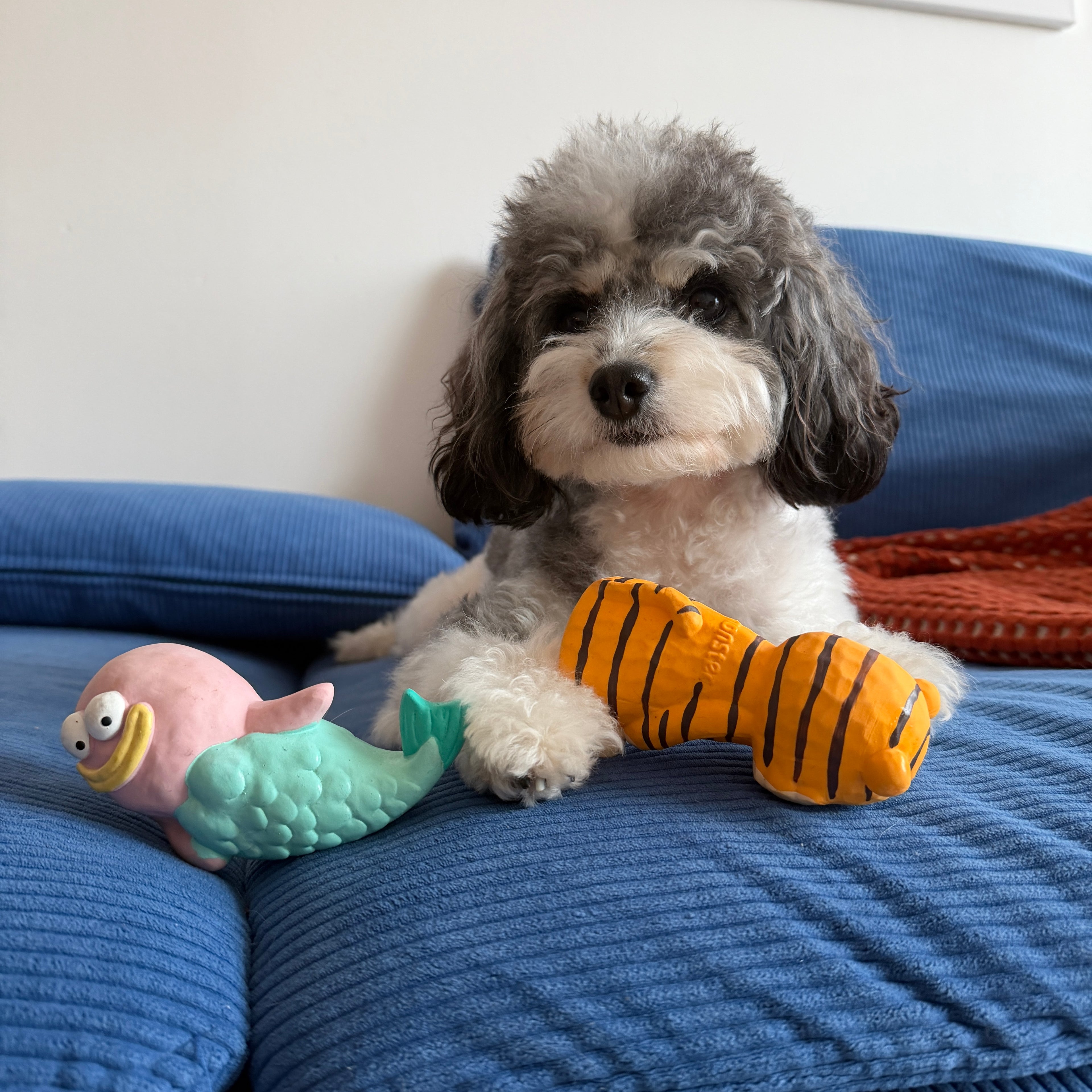 QMONSTER Latex Squeaky Dog Toy